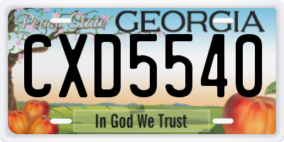 GA license plate CXD5540