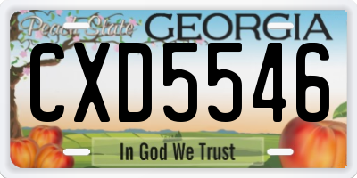 GA license plate CXD5546