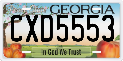GA license plate CXD5553