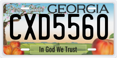 GA license plate CXD5560