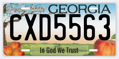 GA license plate CXD5563
