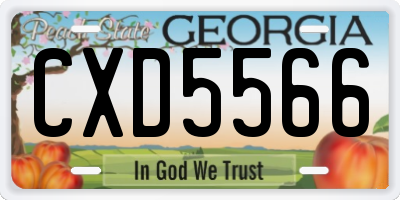 GA license plate CXD5566