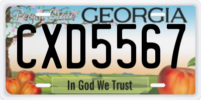 GA license plate CXD5567