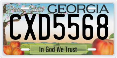 GA license plate CXD5568