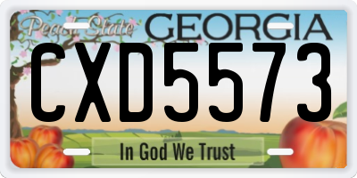 GA license plate CXD5573