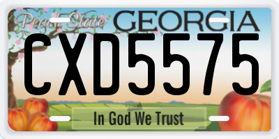 GA license plate CXD5575