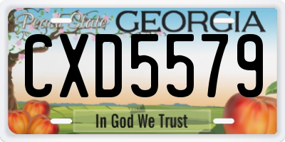 GA license plate CXD5579