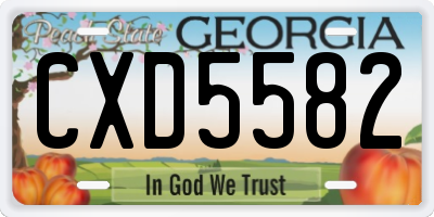 GA license plate CXD5582
