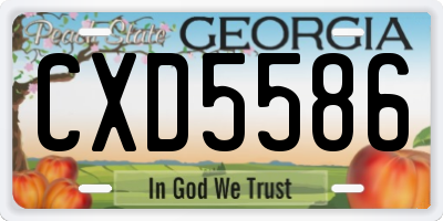 GA license plate CXD5586