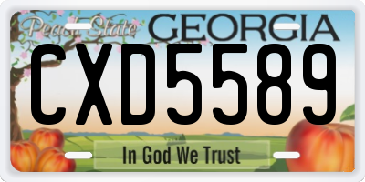 GA license plate CXD5589