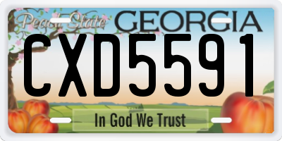GA license plate CXD5591