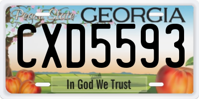 GA license plate CXD5593