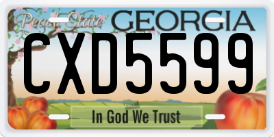 GA license plate CXD5599