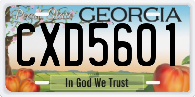 GA license plate CXD5601