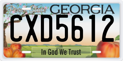 GA license plate CXD5612