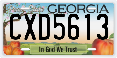 GA license plate CXD5613