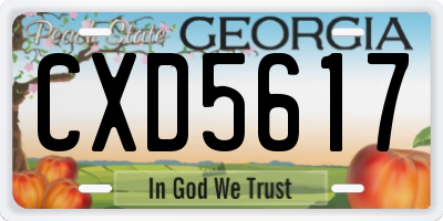GA license plate CXD5617
