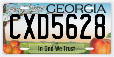 GA license plate CXD5628