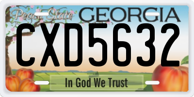 GA license plate CXD5632