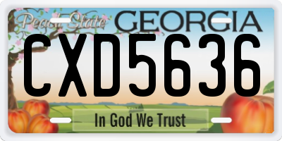 GA license plate CXD5636