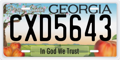 GA license plate CXD5643