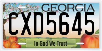 GA license plate CXD5645