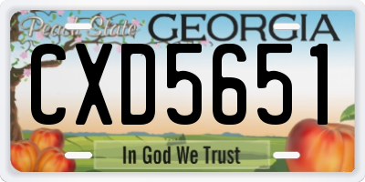 GA license plate CXD5651