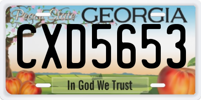 GA license plate CXD5653