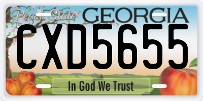 GA license plate CXD5655