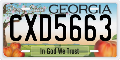 GA license plate CXD5663
