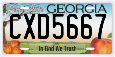GA license plate CXD5667