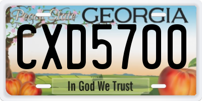 GA license plate CXD5700