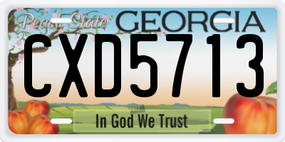 GA license plate CXD5713