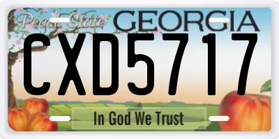 GA license plate CXD5717