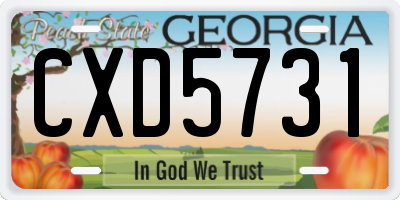 GA license plate CXD5731