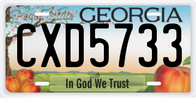 GA license plate CXD5733