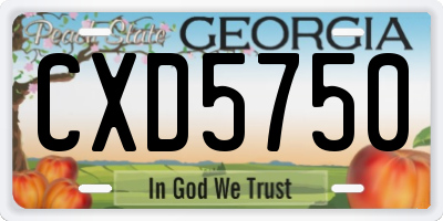 GA license plate CXD5750
