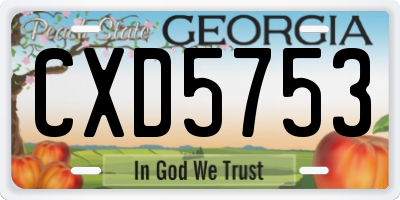 GA license plate CXD5753