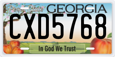 GA license plate CXD5768