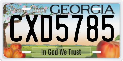 GA license plate CXD5785