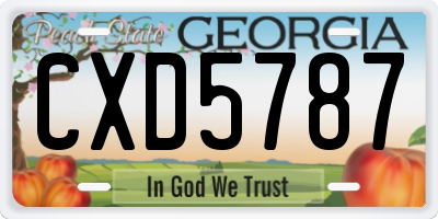 GA license plate CXD5787