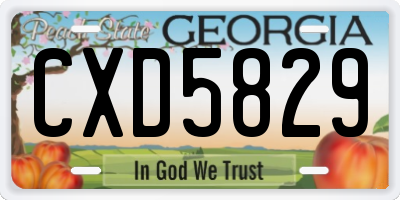 GA license plate CXD5829