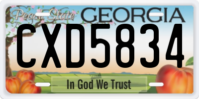 GA license plate CXD5834