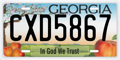 GA license plate CXD5867