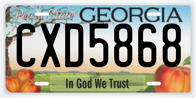 GA license plate CXD5868