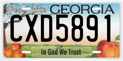 GA license plate CXD5891