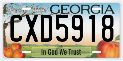 GA license plate CXD5918