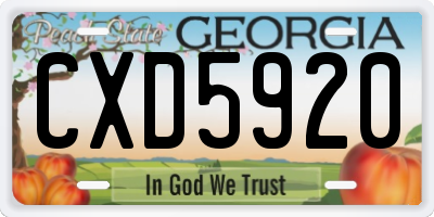 GA license plate CXD5920