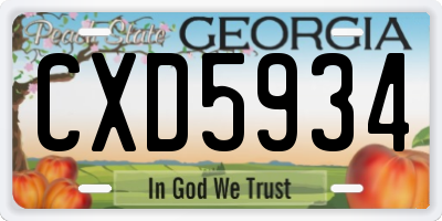 GA license plate CXD5934
