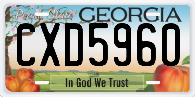 GA license plate CXD5960